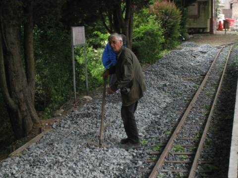 IMG 3893 (2)